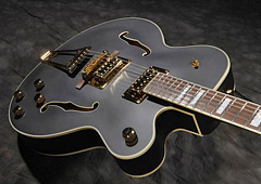 Gretsch G5191BK Tim Armstrong Signature Electromatic Hollow Body